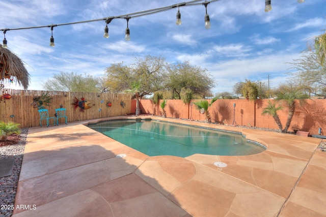 view of pool with a patio, a fenced backyard, and a fenced in pool