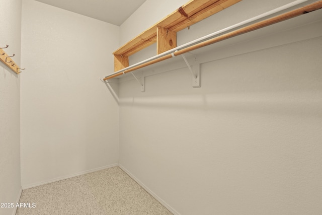 spacious closet with carpet