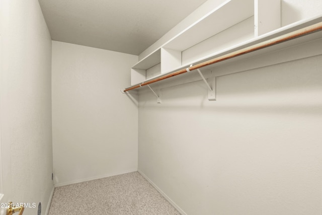 spacious closet featuring carpet floors