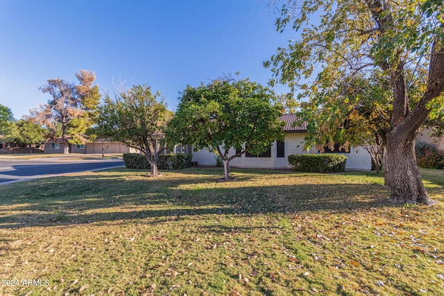 view of front of house with a front lawn, a tile roof, and stucco siding