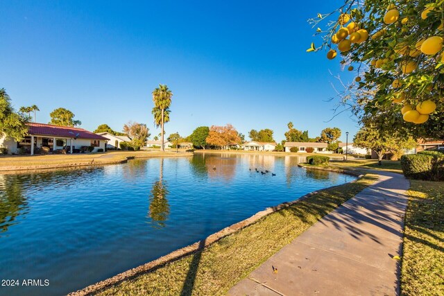 water view