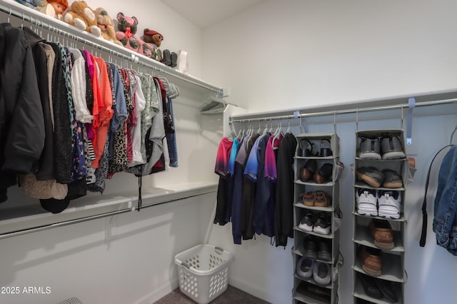 view of walk in closet