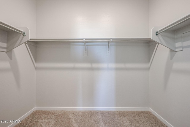 walk in closet with carpet