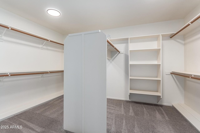 spacious closet featuring carpet floors