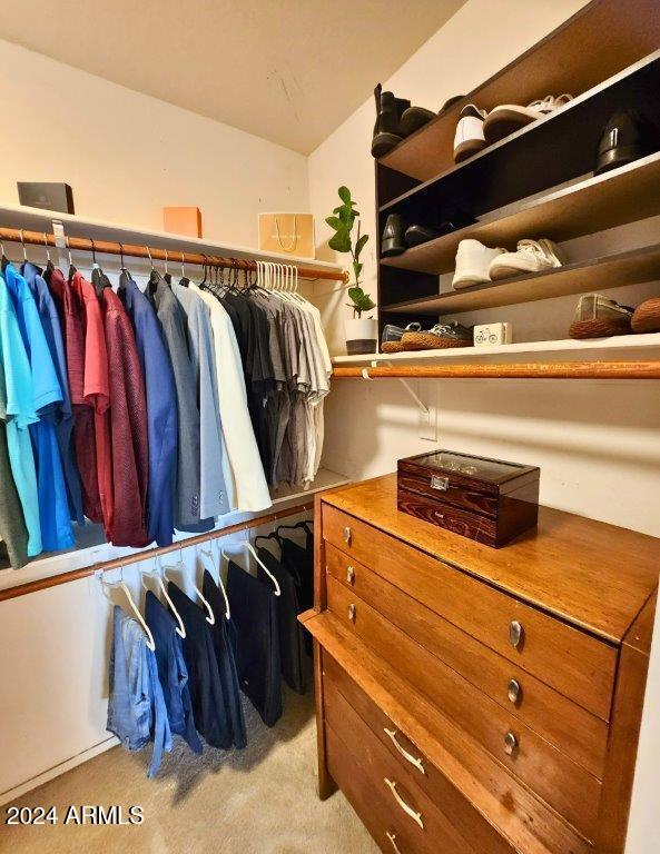 walk in closet with light carpet