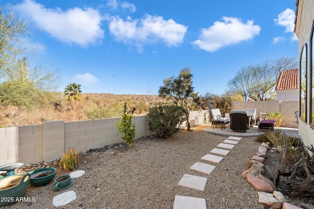 view of yard with a patio area and a fenced backyard