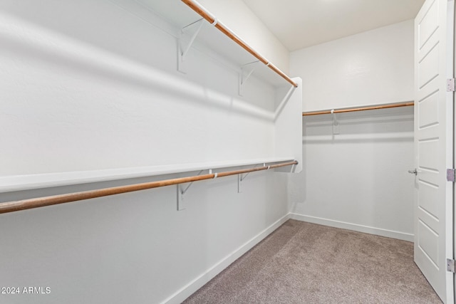 spacious closet featuring light carpet