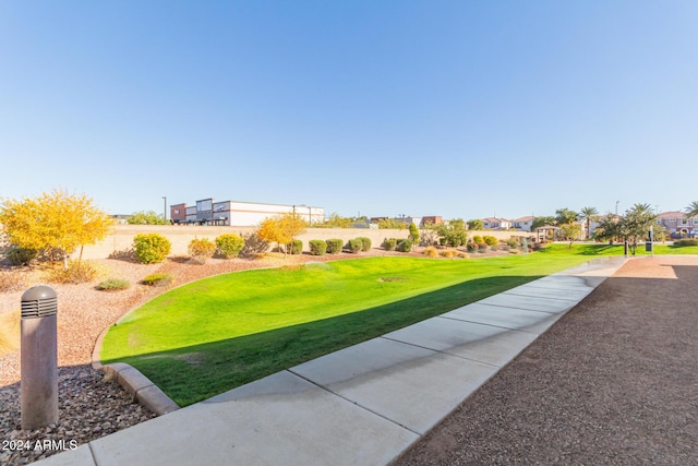 view of home's community with a lawn