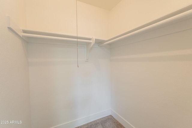 909 S Acapulco Ln Unit A, Tempe, AZ 85281 - walk in closet featuring carpet flooring