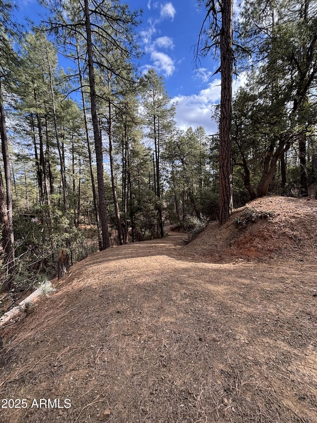 Listing photo 2 for 398B N Apache Trail 398B & 398C, Pine AZ 85544