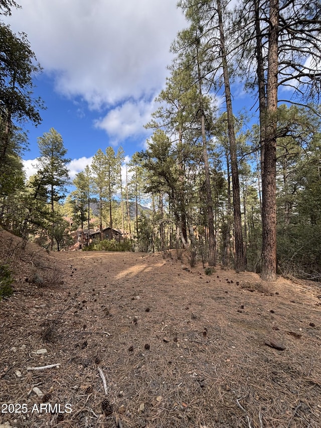 Listing photo 3 for 398B N Apache Trail 398B & 398C, Pine AZ 85544