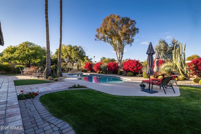 view of swimming pool featuring a yard and a patio area