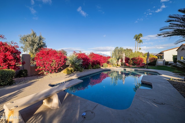 view of pool with a diving board