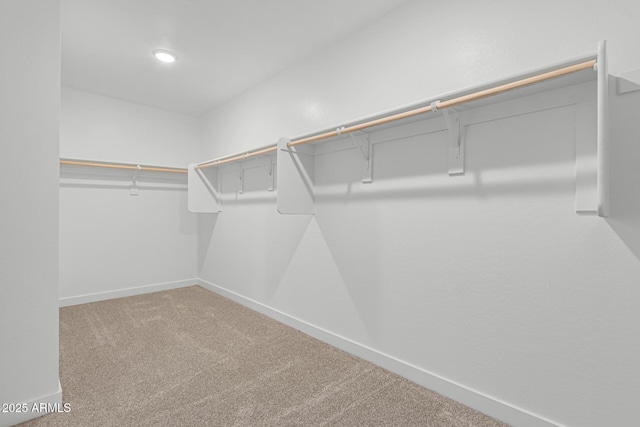 spacious closet featuring carpet flooring