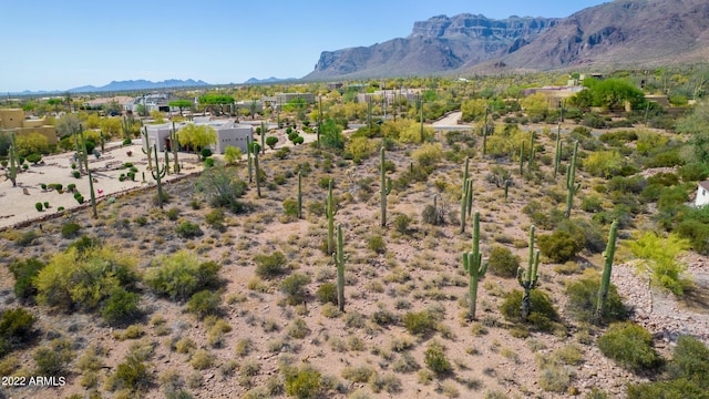 Listing photo 2 for 0 E Cloudview Ave -, Unit Gold Canyon AZ 85118