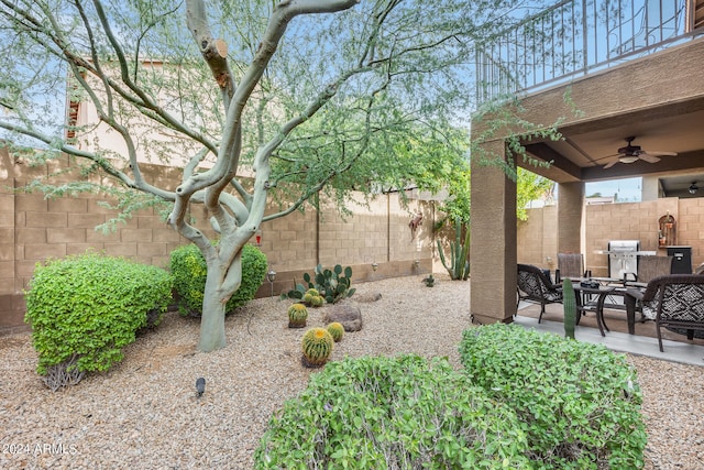 view of yard with ceiling fan and a patio area