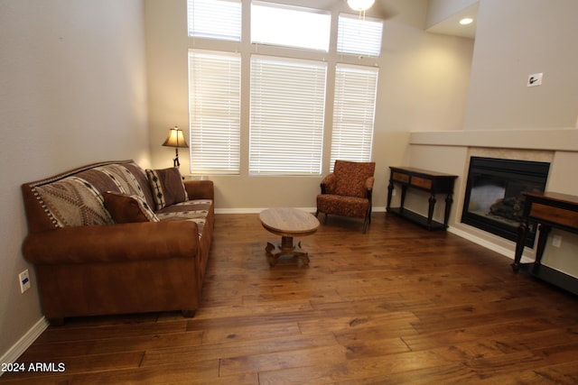 living room featuring dark wood-type flooring