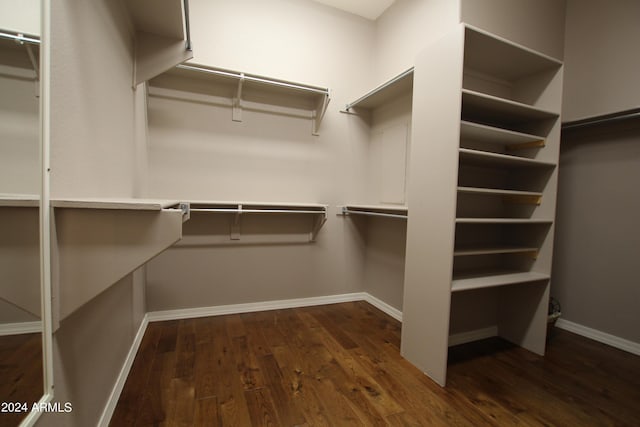 walk in closet with dark hardwood / wood-style flooring