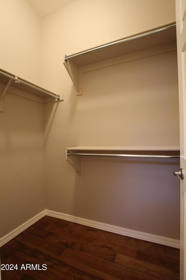 walk in closet featuring dark wood-type flooring