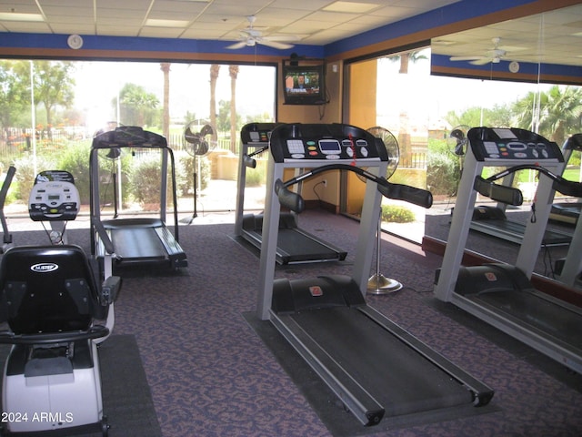 exercise room with carpet flooring, a paneled ceiling, and plenty of natural light