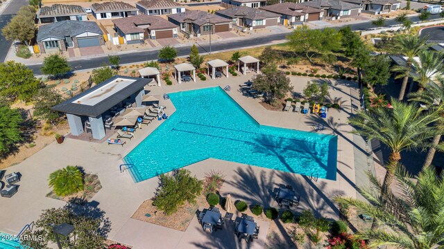 1335 W Via Del Oro, San Tan Valley, AZ 85140 - community pool featuring a residential view