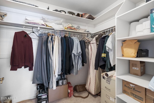 spacious closet with light carpet