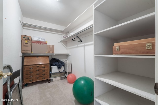 walk in closet featuring carpet