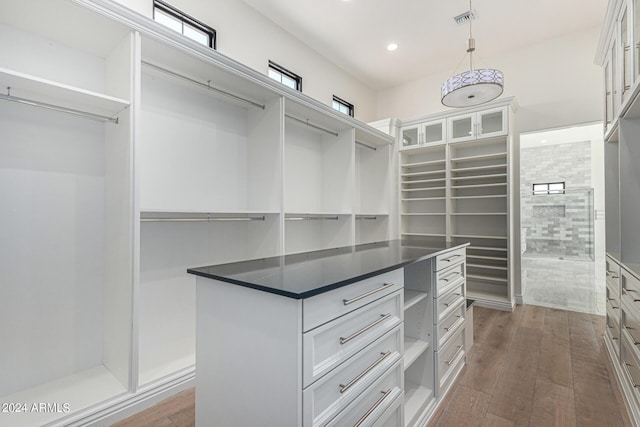 spacious closet with dark hardwood / wood-style flooring