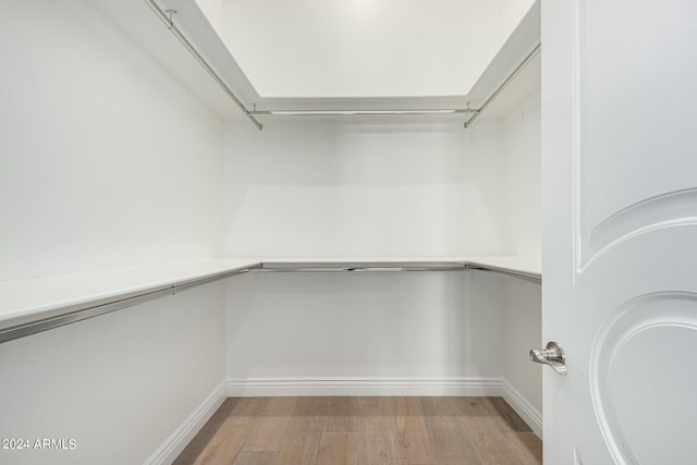 spacious closet featuring light hardwood / wood-style flooring