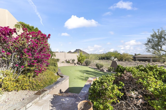 13249 E Summit Dr, Scottsdale, AZ 85259 - fenced backyard featuring a putting green