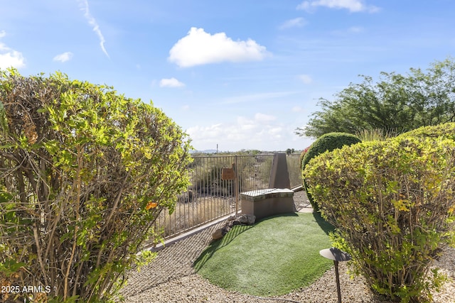 13249 E Summit Dr, Scottsdale, AZ 85259 - view of yard