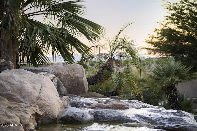 13249 E Summit Dr, Scottsdale, AZ 85259 - view of nature at dusk