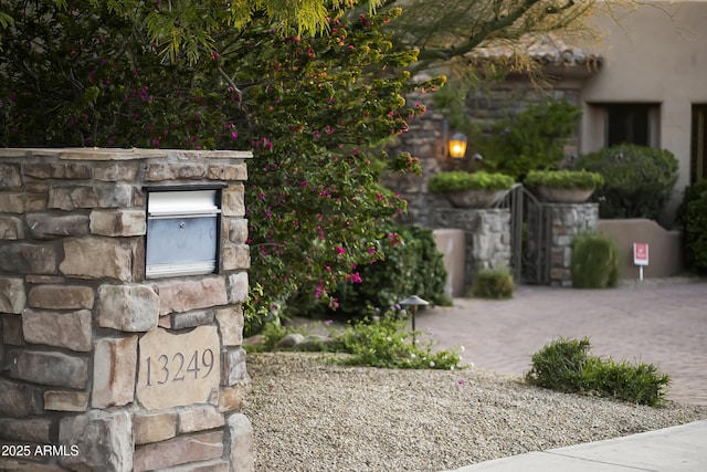 13249 E Summit Dr, Scottsdale, AZ 85259 - view of yard