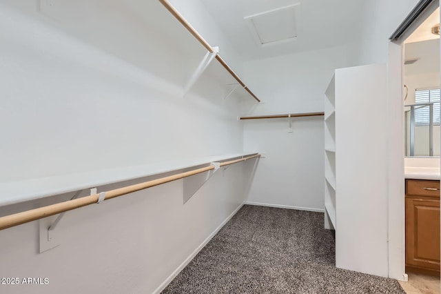 8766 W Hayward Ave, Glendale, AZ 85305 - walk in closet with light carpet