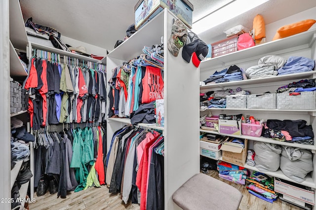 7125 W Canterbury Dr, Peoria, AZ 85345 - walk in closet with wood finished floors