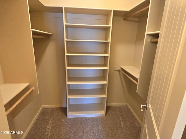 walk in closet featuring dark colored carpet