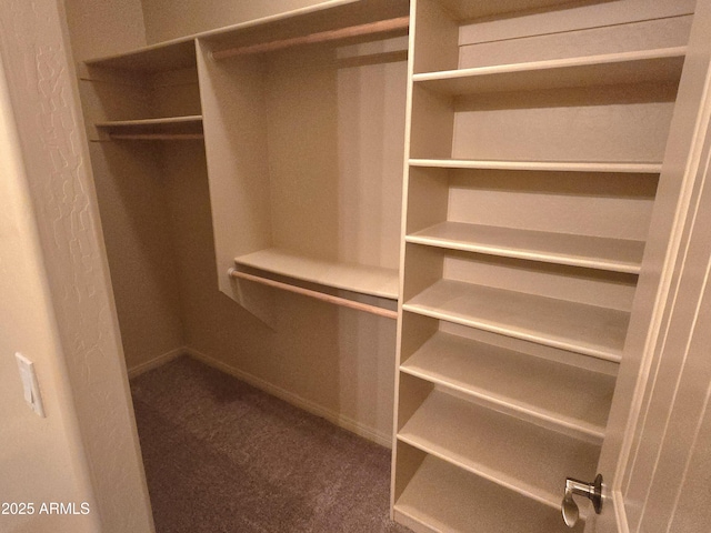 walk in closet featuring carpet