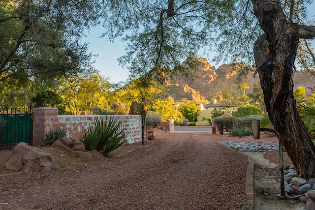 view of yard featuring a mountain view