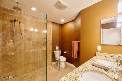 bathroom with vanity, toilet, and a tile shower