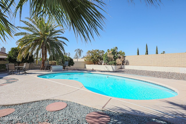 view of swimming pool with a patio