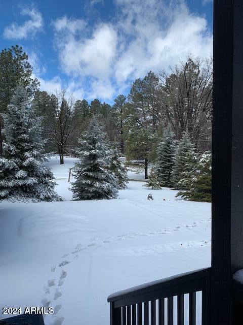 view of snowy yard