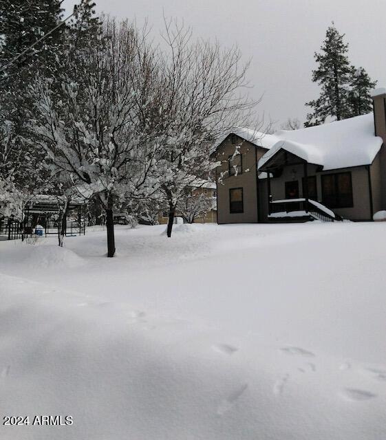 view of yard covered in snow