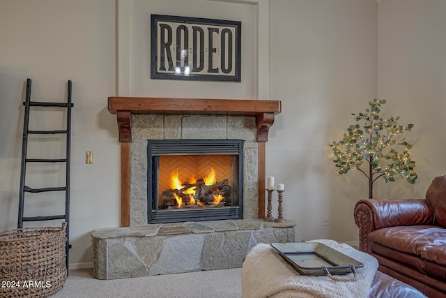 details featuring carpet flooring and a stone fireplace