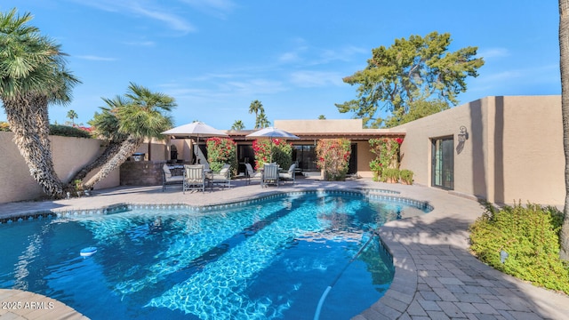 view of swimming pool with a patio