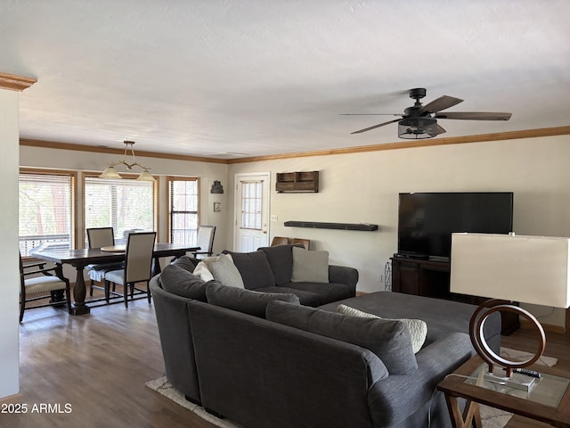 living room featuring dark hardwood / wood-style flooring, crown molding, and ceiling fan