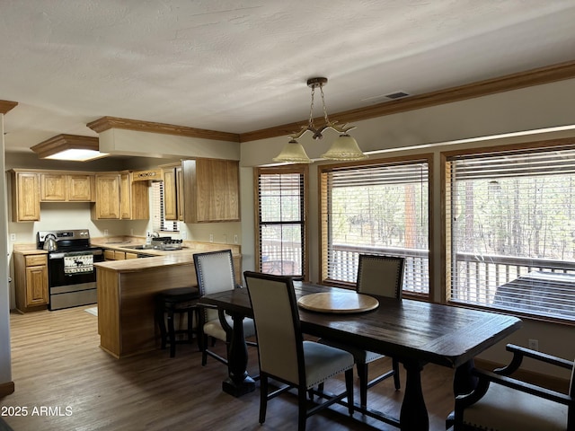 dining area with crown molding, sink, hardwood / wood-style floors, and a textured ceiling