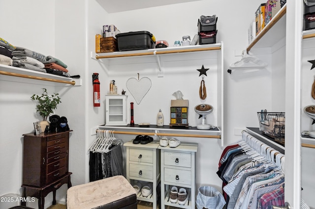 view of spacious closet