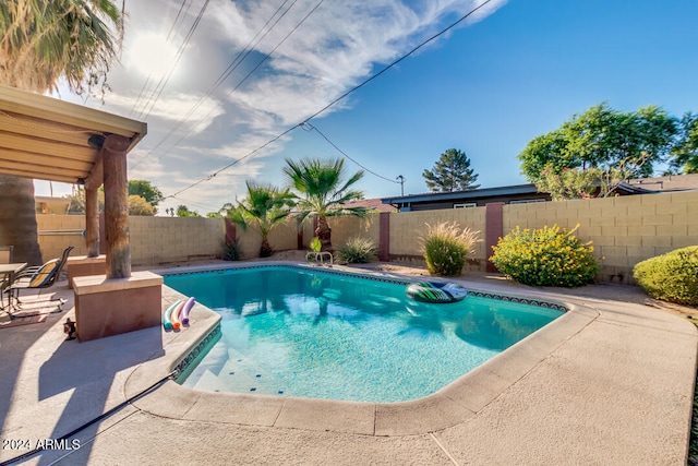 view of pool with a patio