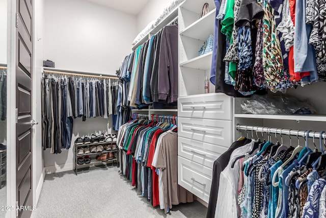 spacious closet with carpet