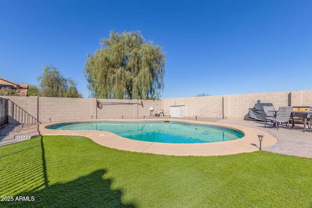 view of swimming pool with a patio, a fenced backyard, and a lawn